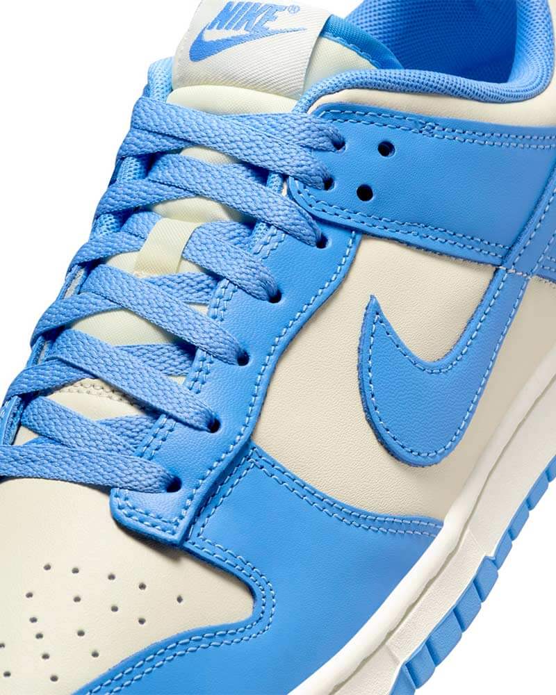 Nike Dunk Low Blue